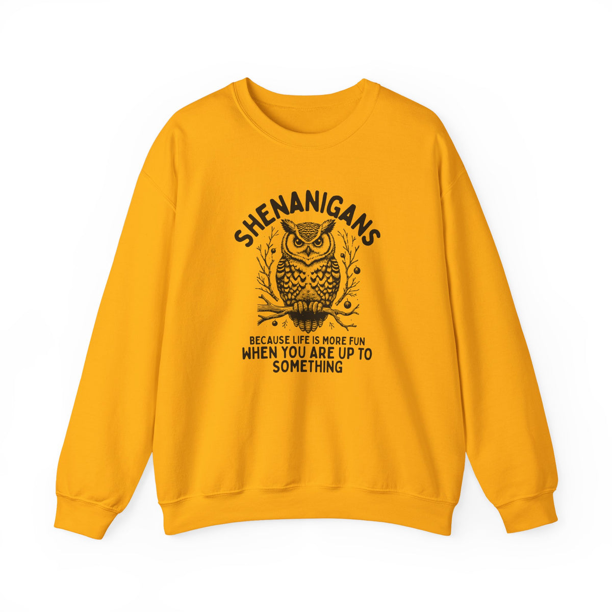Shenanigans Owl Crewneck Sweatshirt "Because Life Is More Fun When You Are Up To Something"